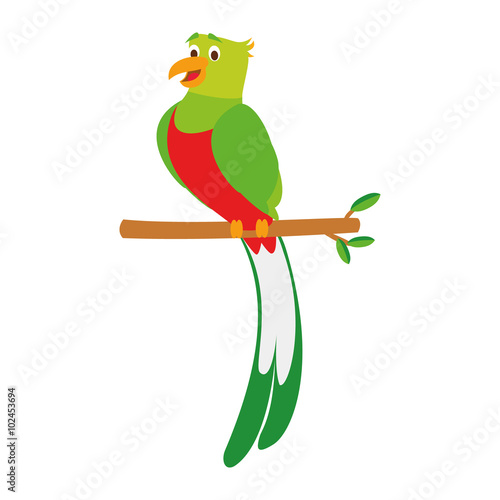 Cute cartoon quetzal vector illustration