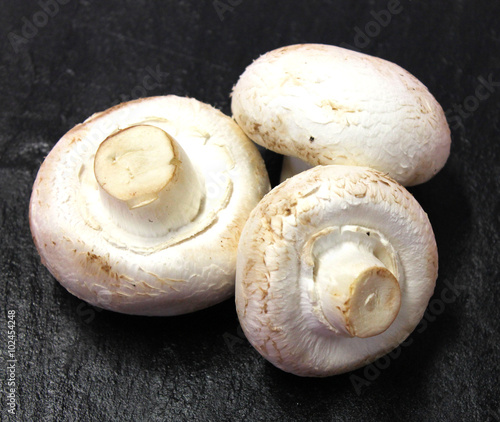 champignons