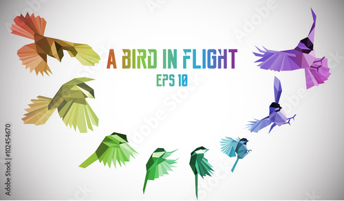 Rainbow bird in motion. Low-poly