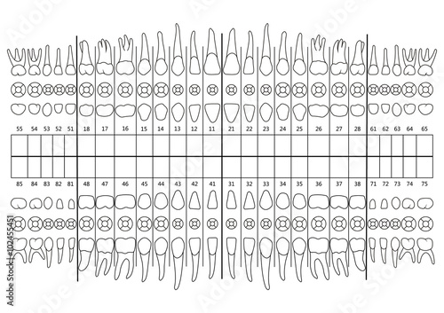 Dental records