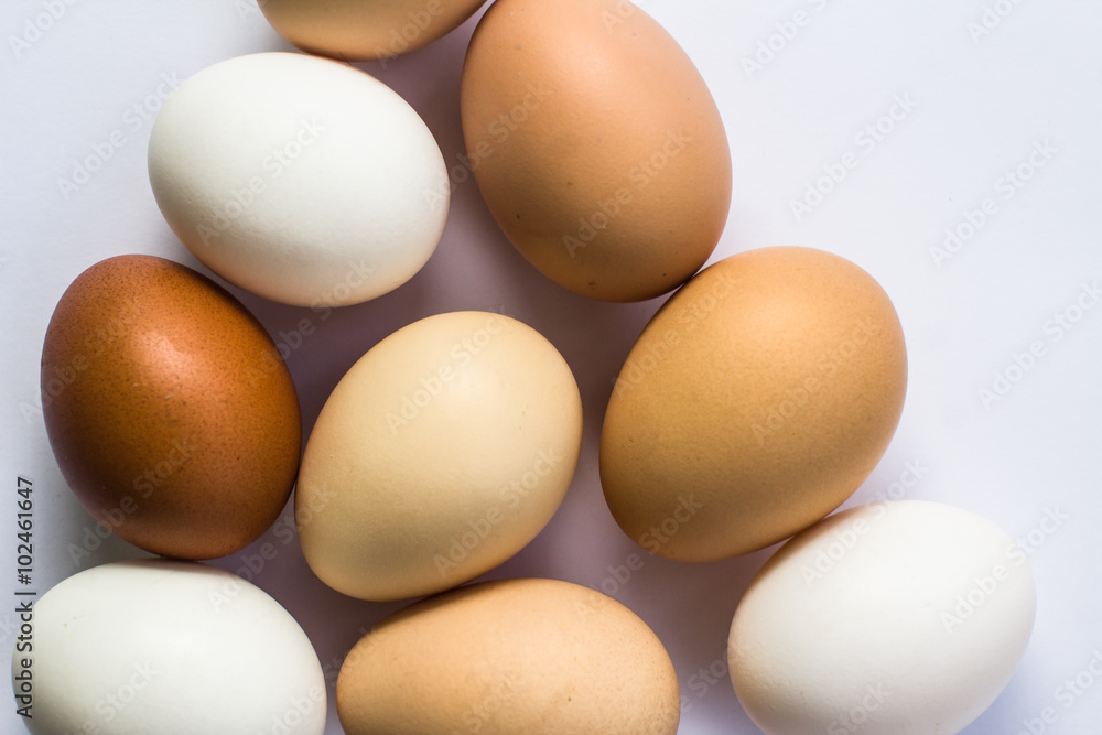 eggs from the farm on a white background eggs from the farm on a white background