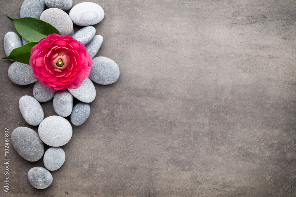 Close up view of spa theme objects on grey background. Close up view of spa theme objects on grey background.