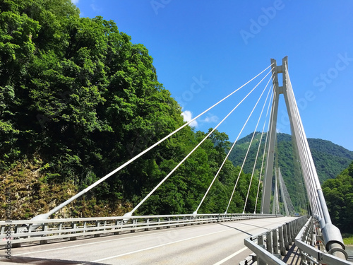 Сable-stayed bridge