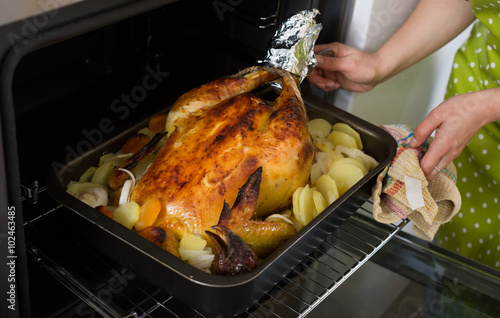 capon with baked potato cooked in the kitchen photo