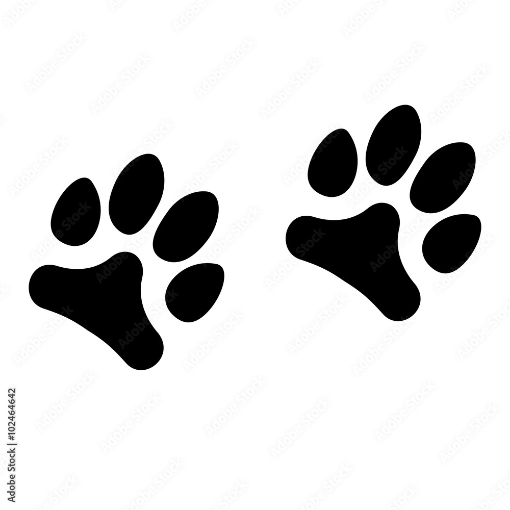 Animals footprints isolated on white background. Vector illustration Animals footprints isolated on white background. Vector illustration
