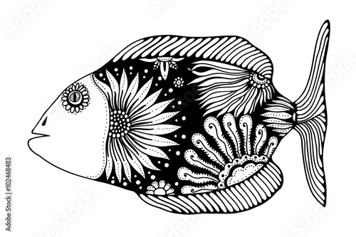 Hand drawn vector fish