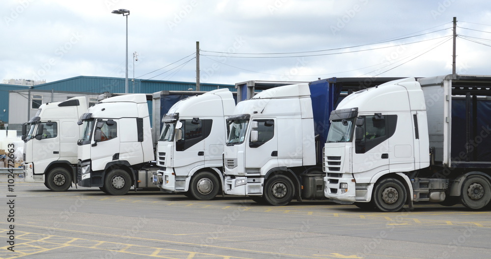 Group of white trucks in a row