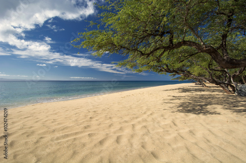 Fototapeta Naklejka Na Ścianę i Meble -  Papalaua Beach, state wayside park, Maui, Hawaii