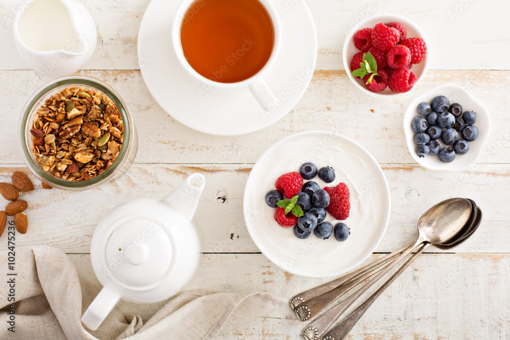 Natural yogurt in a bowl with berries Natural yogurt in a bowl with berries