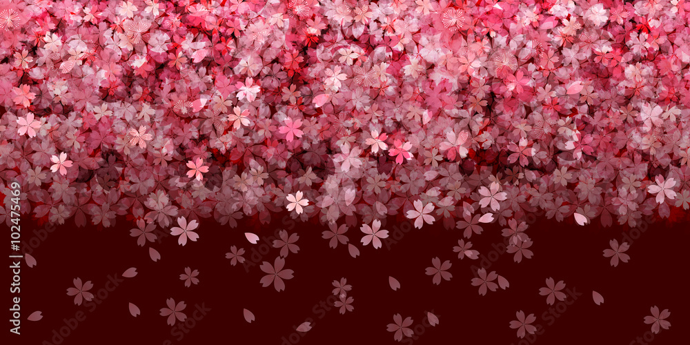 Obraz premium 桜 春 花 背景