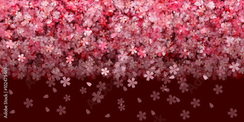 桜　春　花　背景