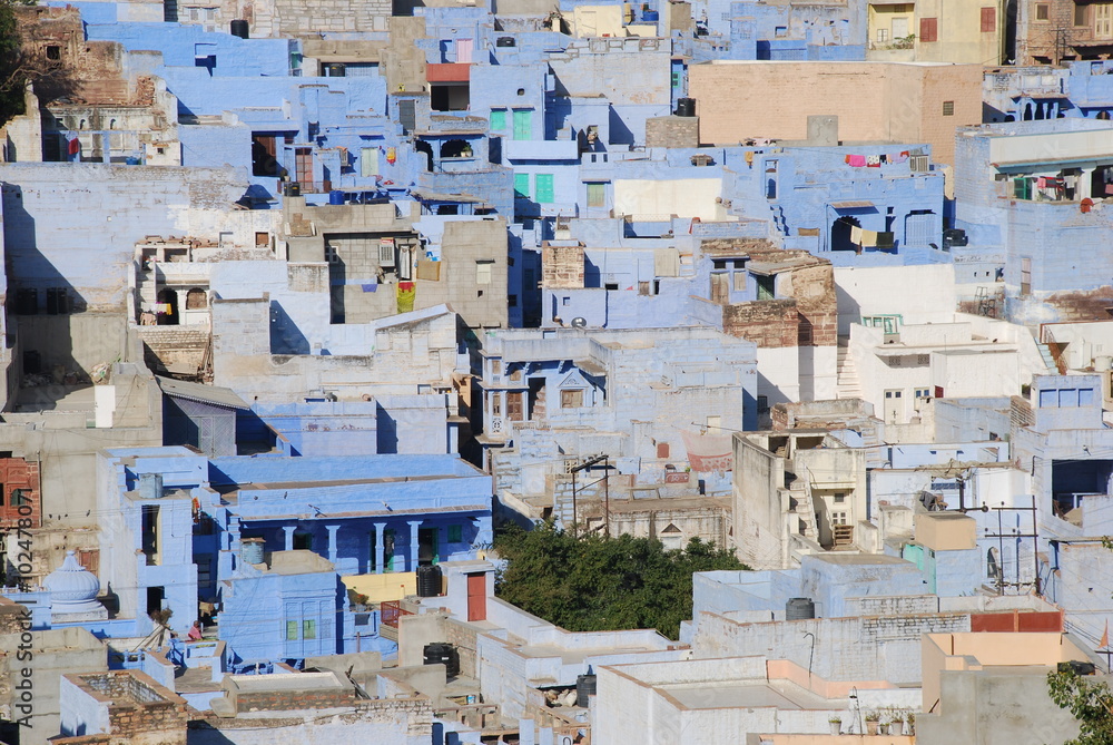 Fototapeta premium Jodhpur Houses, the Blue City