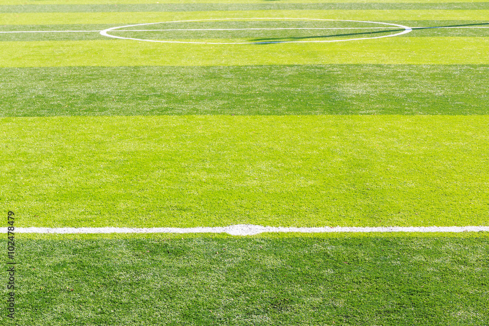 Obraz premium Green soccer field