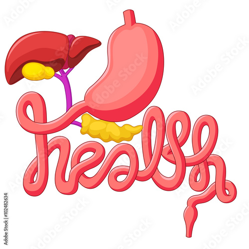 Health campaign symbol human digestive system