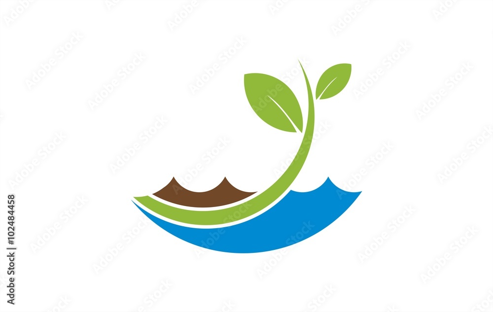 water leaf growth water leaf growth