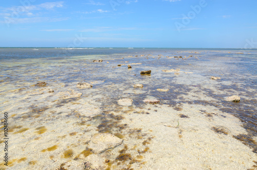 Shallow water reef South Australian coast line Yorke Peninsula photo