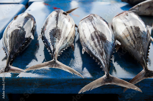 Fresh raw tuna fish in market