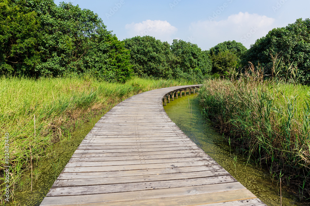 Small bridge through a river