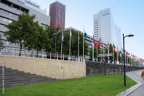National flags on Rotterdam streets photo