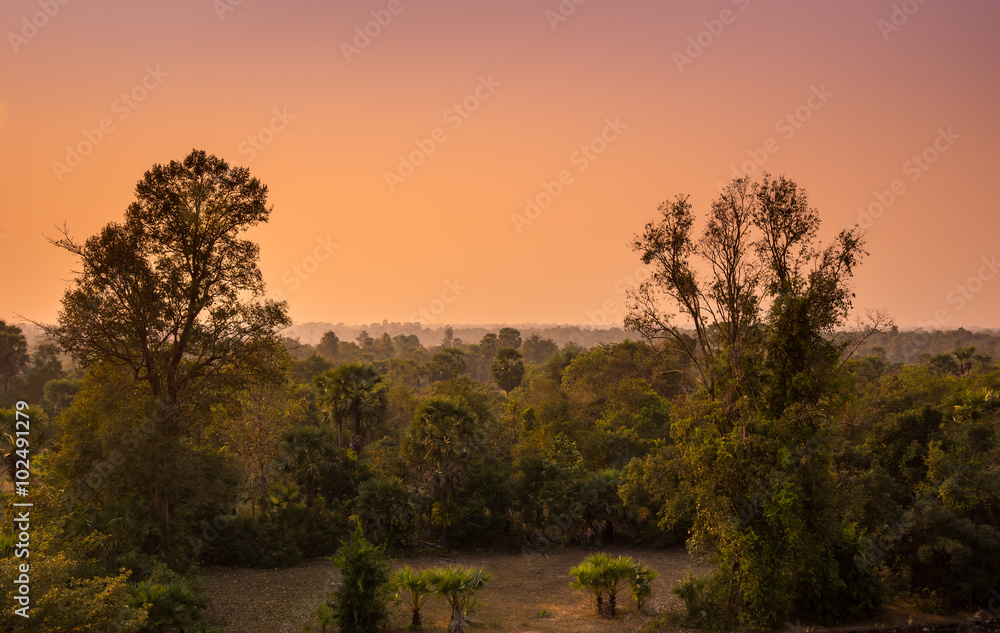 Naklejka premium Sunset over the jungle