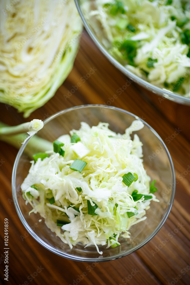 salad of fresh spring cabbage salad of fresh spring cabbage