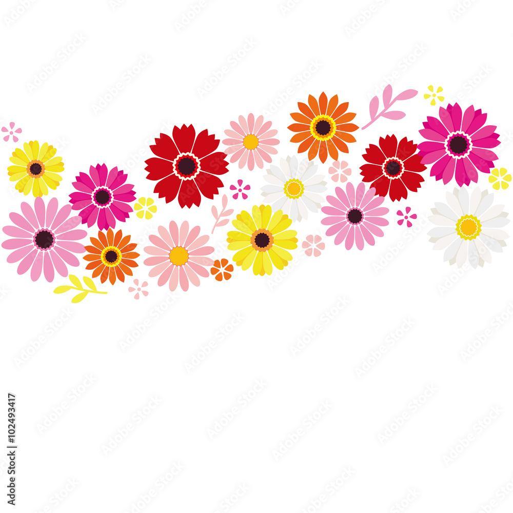Flower background, gerbera and daisy 