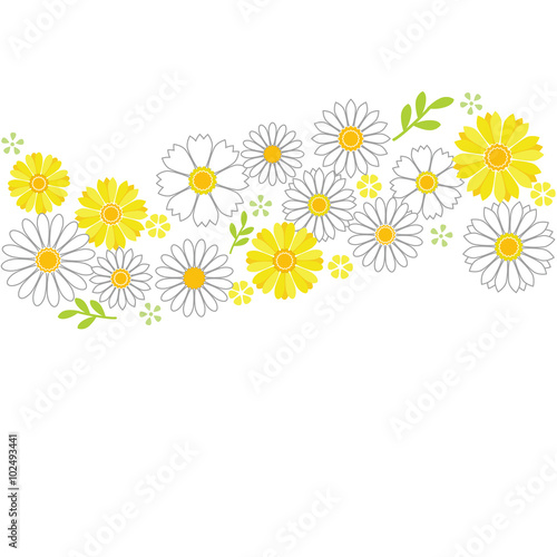 Fototapeta Naklejka Na Ścianę i Meble -  Flower background, gerbera and daisy 