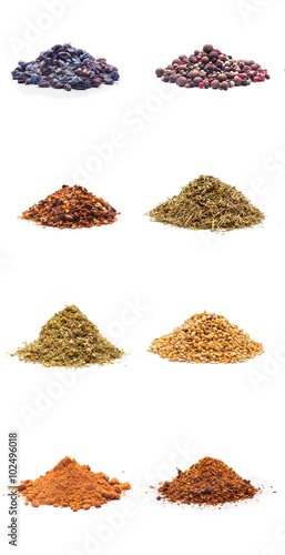 Colorful spices variety collection