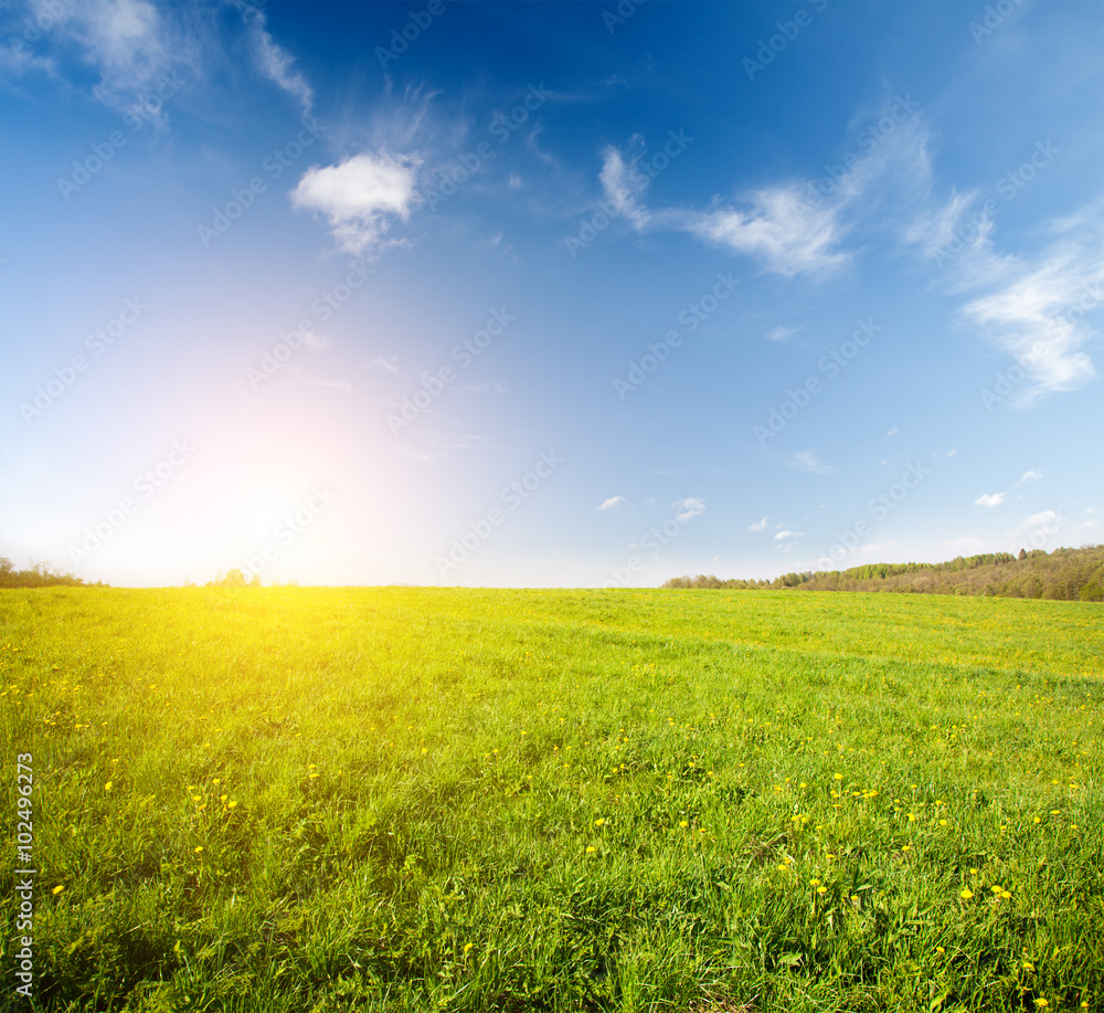 green field and beautiful sunset green field and beautiful sunset