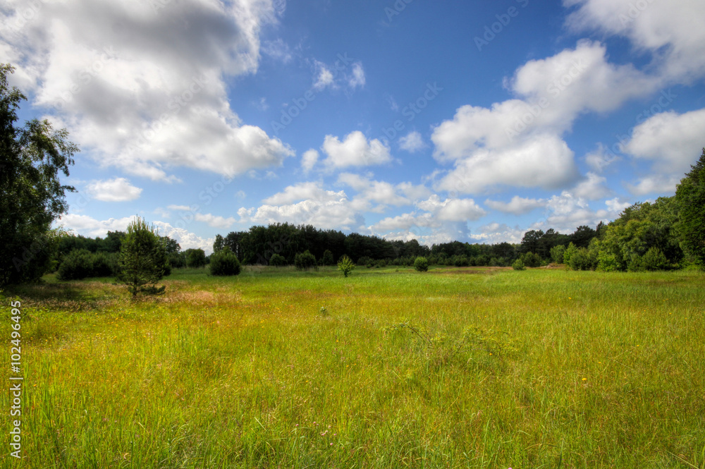 Feld Feld