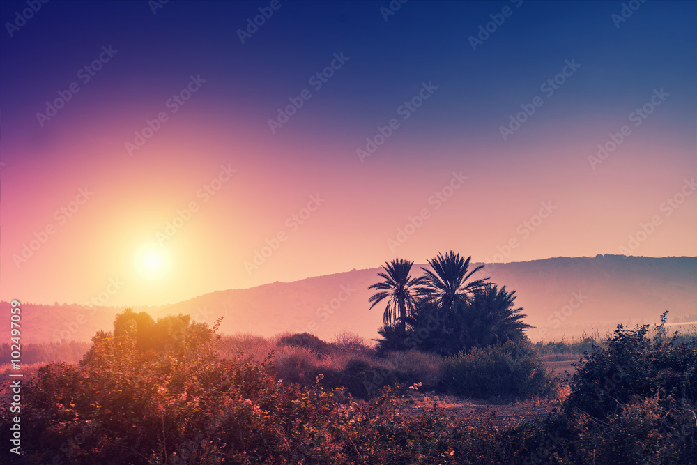 Magic sunrise over desert. Israel.