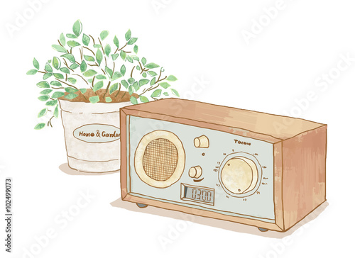 ラジオと植物