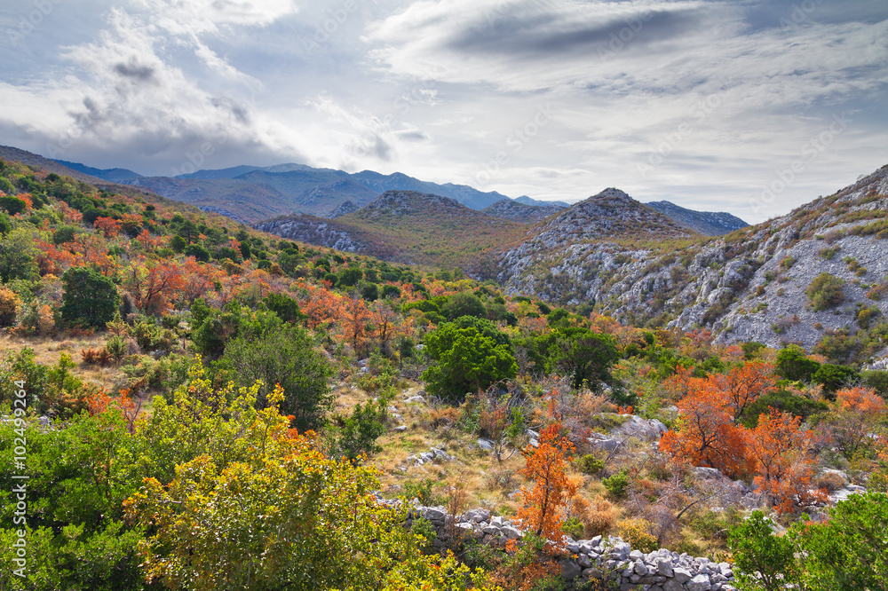 Autumn in the mountains of Velebit national park in Croatia