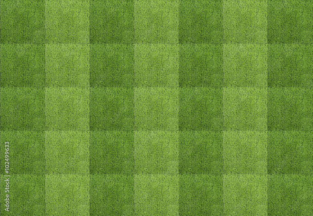Green grass background texture Green grass background texture