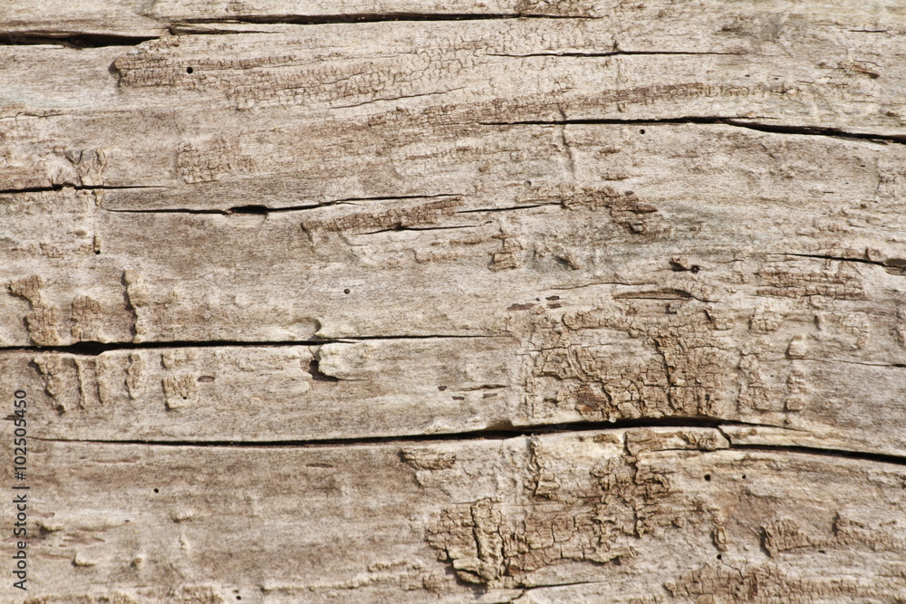 Obraz premium Hintergrund Holz