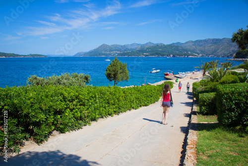 Coast landscape in Dalmatia, Croatia photo