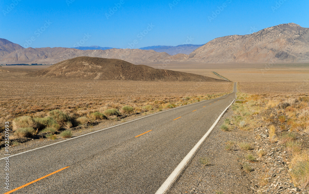 Road to Inyo National Forest Park, California Road to Inyo National Forest Park, California