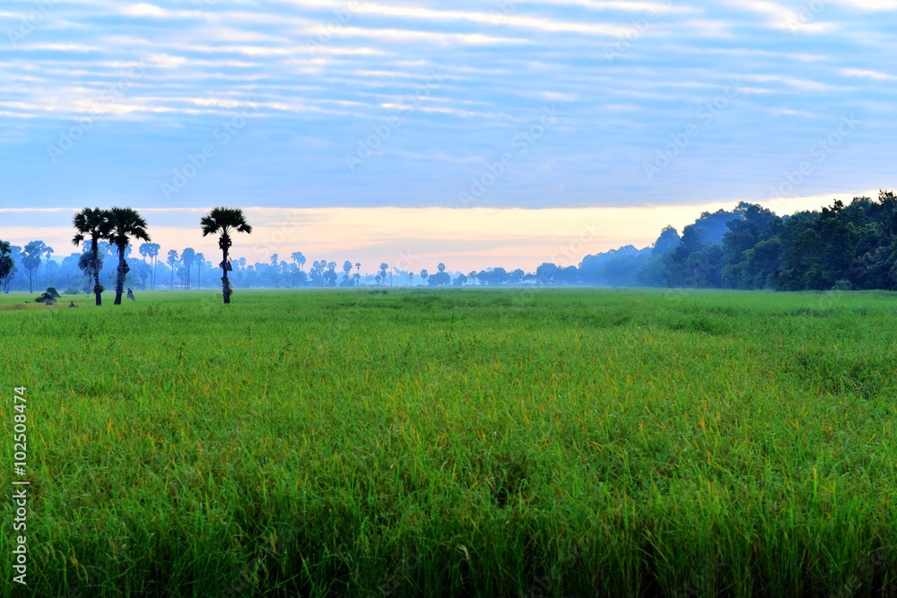 Sunrise in Cambodia countryside