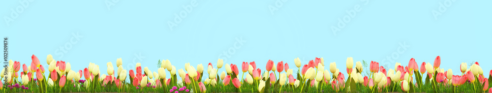 Spring meadow with sunny flowers. 3d rendering