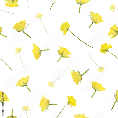 Repeatable yellow sliced roses pattern, studio photographed and isolated on absolute white