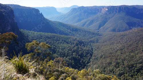 Blue Mountains National Park in Australia photo