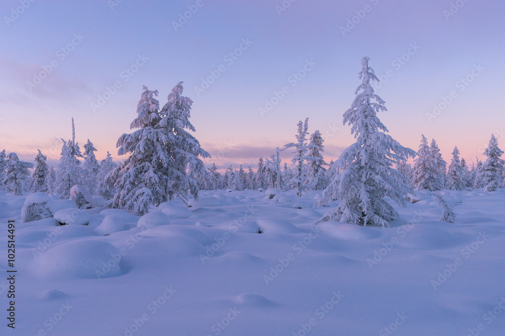 Fototapeta premium Winter landscape with forest, cloudy sky and sun 