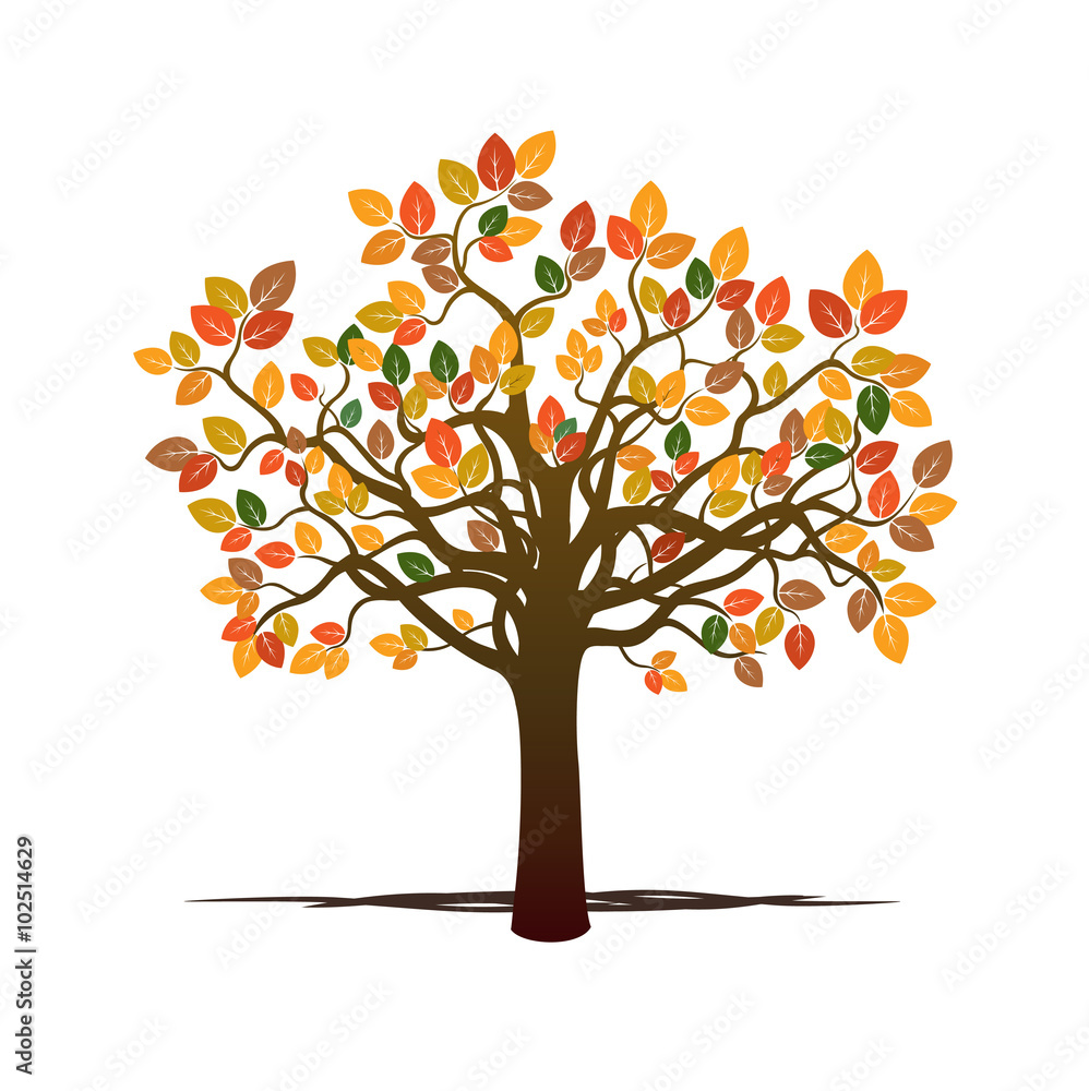 Fototapeta premium Autumn Tree. Vector Illustration.