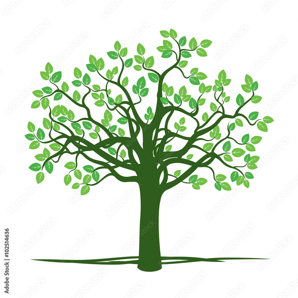 Green Spring Tree. Vector Illustration. Green Spring Tree. Vector Illustration.
