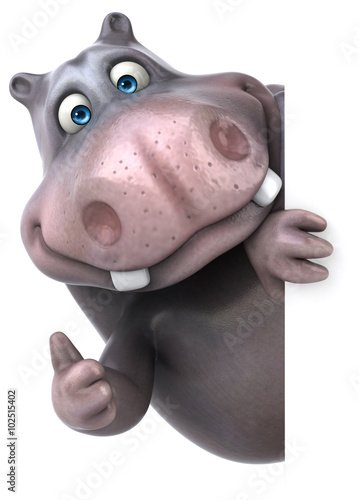 Fun hippo