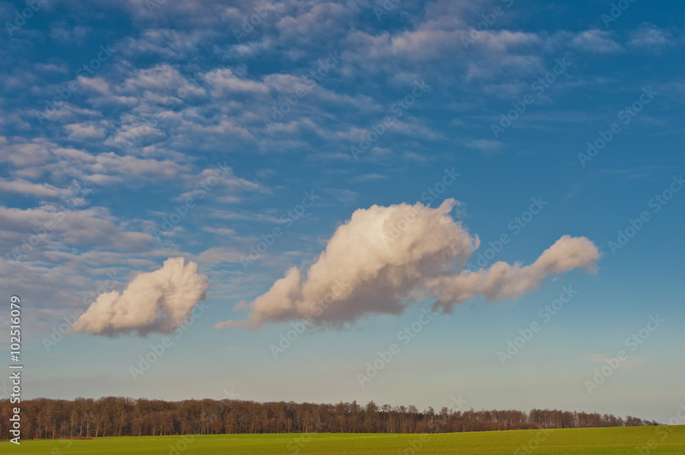 Herbst - Wald und Feld - Blauer Himmel und weisse Wolken Herbst - Wald und Feld - Blauer Himmel und weisse Wolken