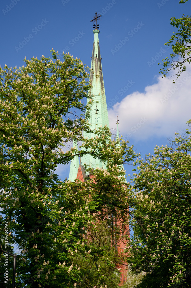Cathedral in Gliwice (Poland)