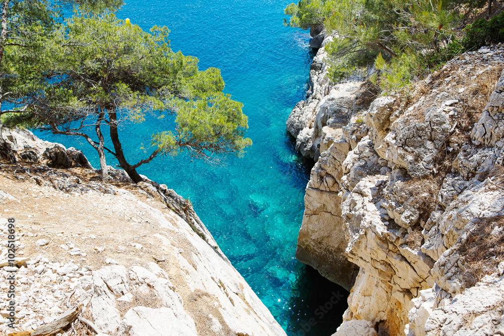Fototapeta premium Calanques of Port Pin in Cassis, Provence, France