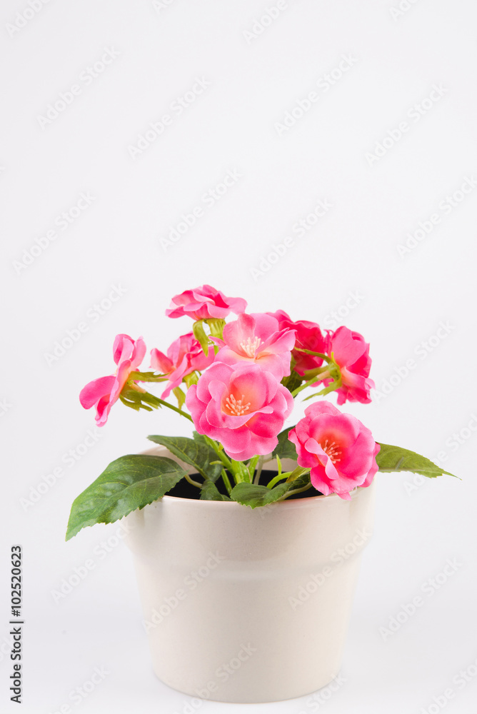 Decorative Pot with Flowers