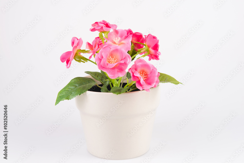 Flowers in Ceramic Pot